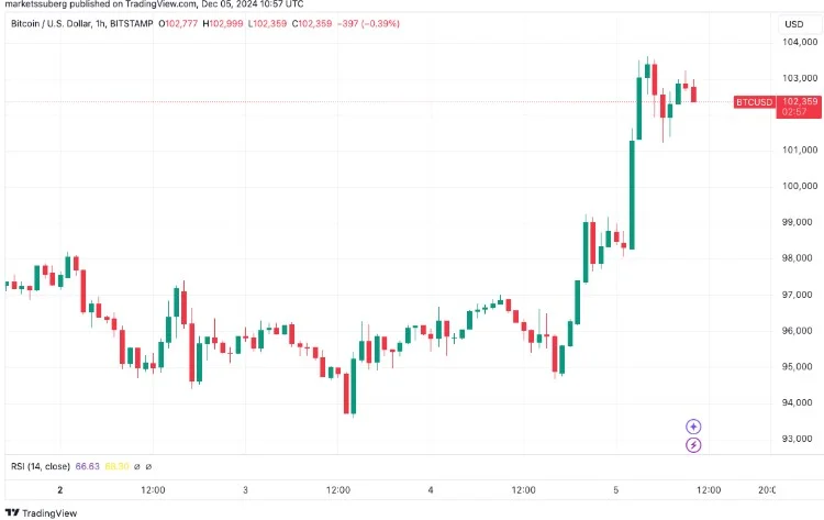 Bitcoin just hit $104,000, but who owns the most Bitcoin?