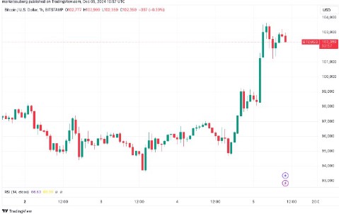 Bitcoin vừa đạt mức 104 000 đô la nhưng ai sở hữu nhiều Bitcoin nhất