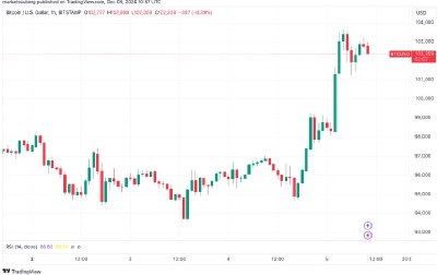 Bitcoin vừa đạt mức 104 000 đô la nhưng ai sở hữu nhiều Bitcoin nhất?