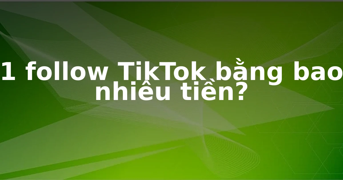 1 follow TikTok bằng bao nhiêu tiền?