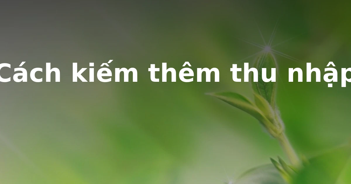 Cách kiếm thêm thu nhập