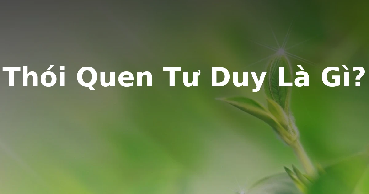 Thói Quen Tư Duy Là Gì?