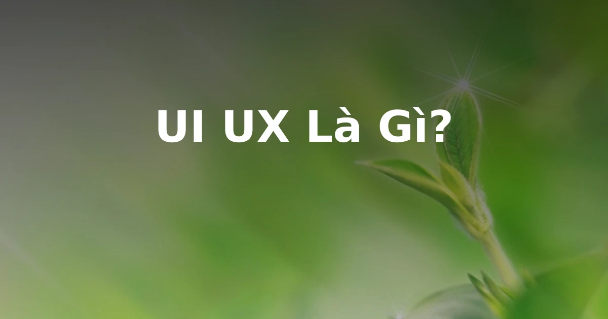 UI UX Là Gì?
