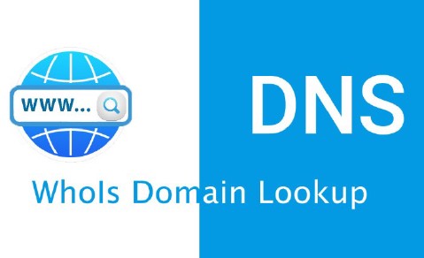 Check Domain